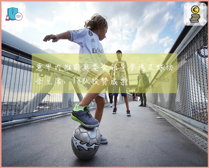 意甲内推前奥委会领导参选足球协会主席，18队投赞成票