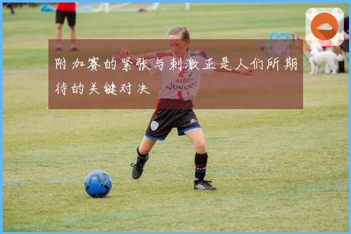 附加赛的紧张与刺激正是人们所期待的关键对决
