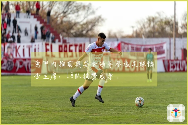 意甲内推前奥委会领导参选足球协会主席，18队投赞成票